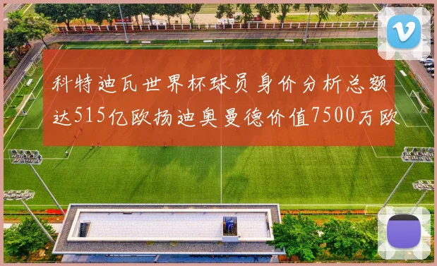科特迪瓦世界杯球员身价分析总额达515亿欧扬迪奥曼德价值7500万欧